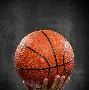 九游足球官网-关于“篮球风云：NBA中的传奇姐妹情！”的信息