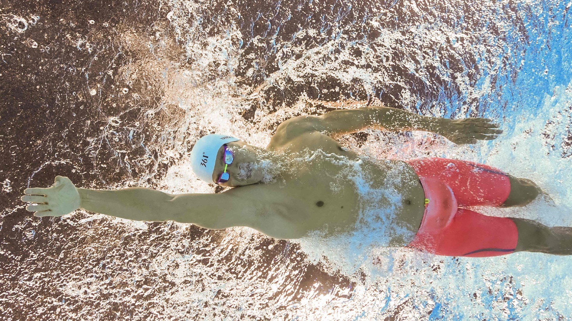 伊朗马术协会推出马匹健康管理系统，提升马匹福利。，伊朗 马赛克