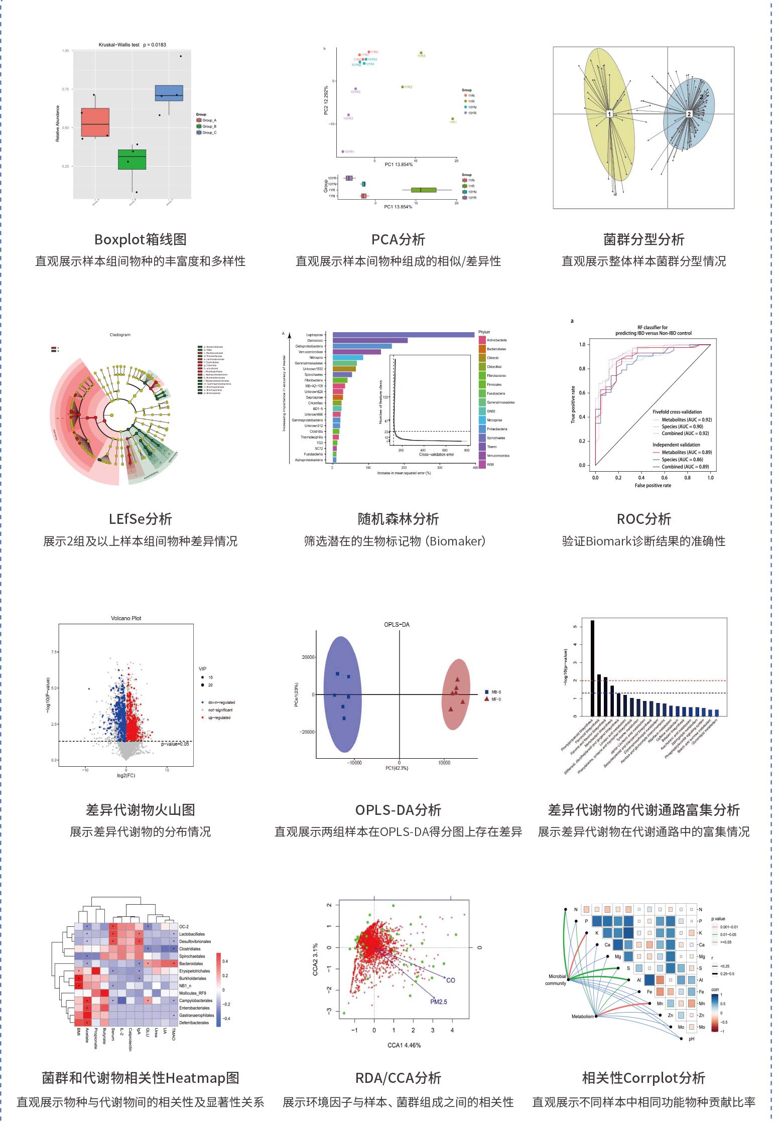 九游体育官网入口-关于运动员营养监测系统升级，实时分析代谢数据的信息