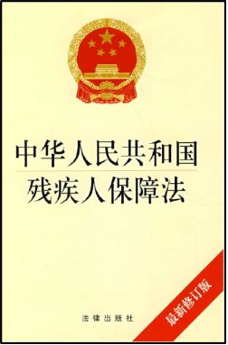九游足球官网-残疾人体育发展报告：设施无障碍待完善的简单介绍
