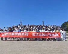 “国家队的领导团，如何推动整体战略规划？”的简单介绍