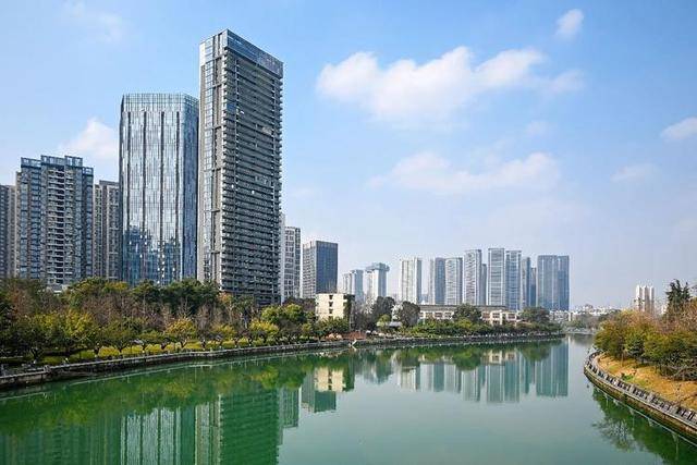 体育经纪人收入揭秘